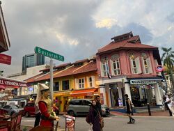 Kampong Glam Conservation Area (D7), Shop House #558533201